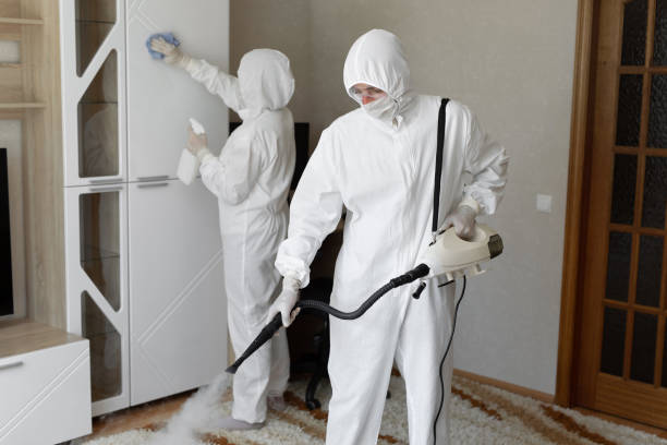 Forensic Mold Investigation in Burnet, TX